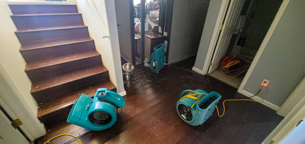 24/7 water damage repair in Jones Valley, CA
