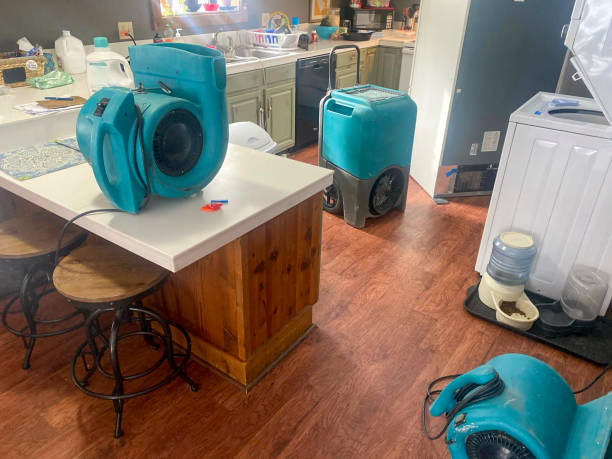 Best Professional water damage repair  in Jones Valley, CA